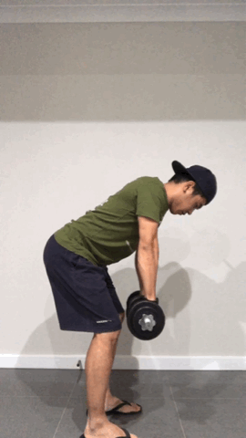 Bent over dumbbell row