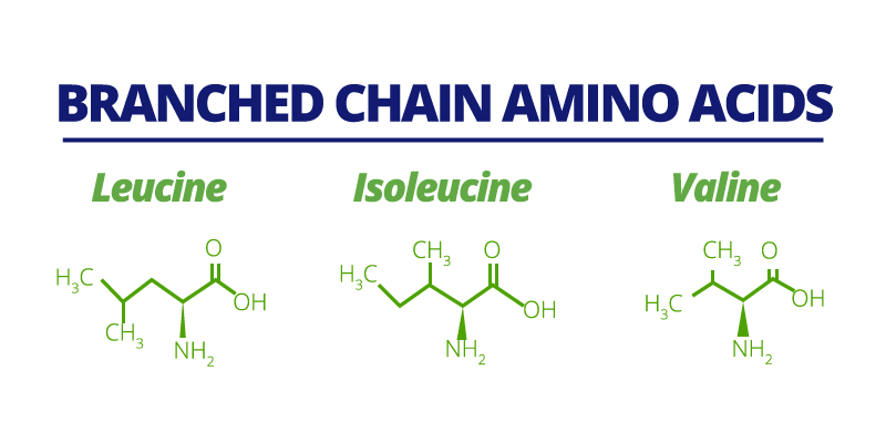 Branched chain amino acids