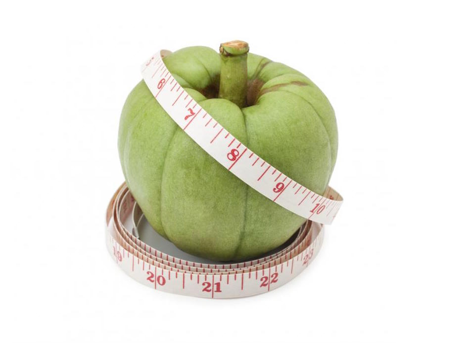 Garcinia cambogia