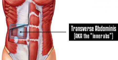 Transverse Abdominus