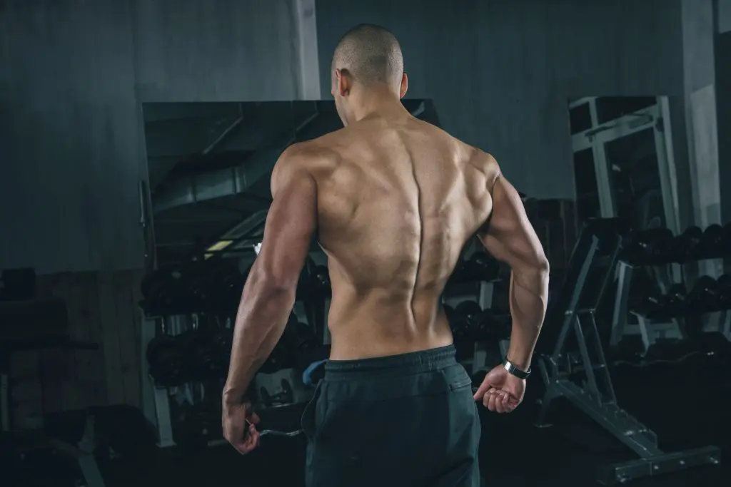 The Lats: What They Are and How They Work