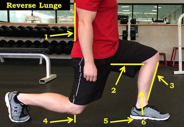 Reverse lunges