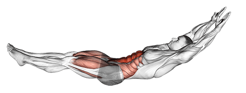 Muscles Used in the Hollow Hold