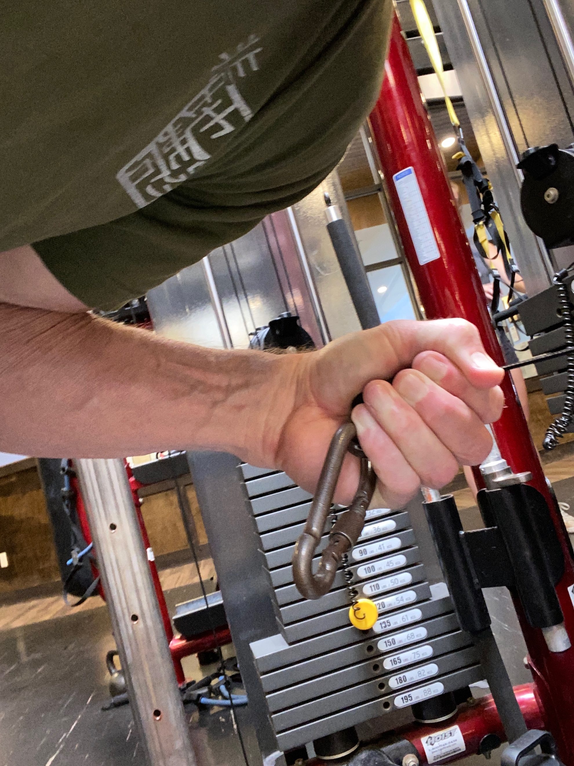 Triceps Cable Kickbacks grip