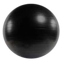 Swiss Ball home gym equipment