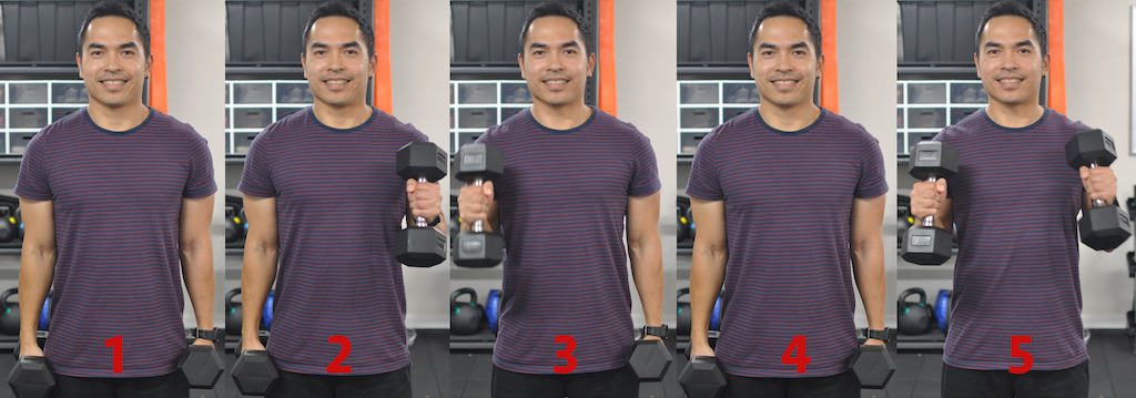 Steps of the 1 1 2 hammer curl