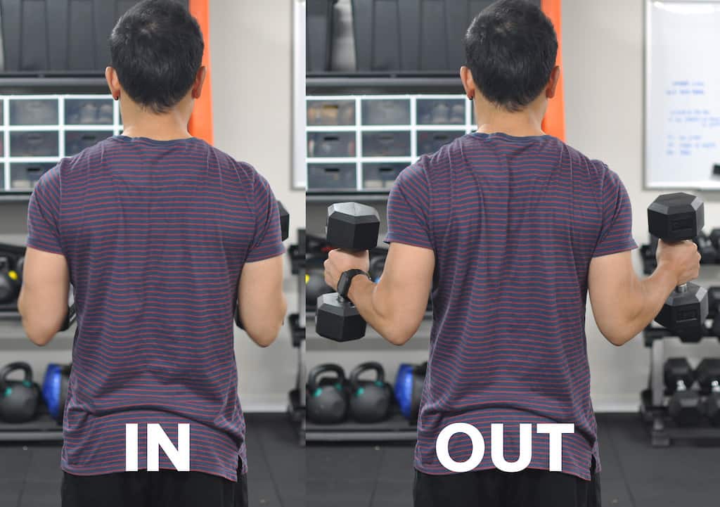 Reverse angle of in out hammer curl