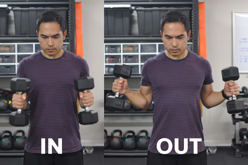 Mike showing phases of in out hammer curl