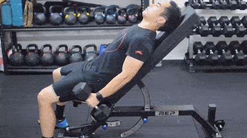 Incline hammer curls correct form