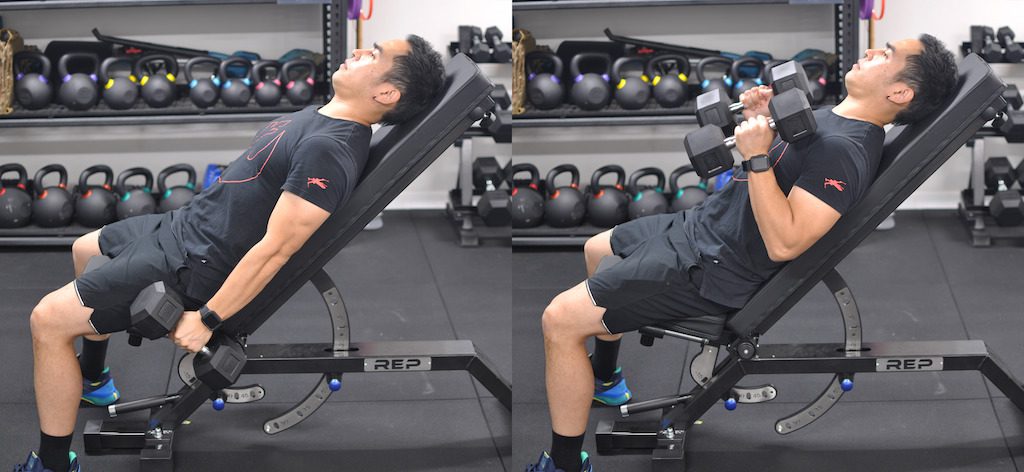 Incline hammer curls start to end movement