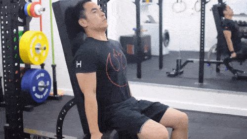 Seated hammer curl good form