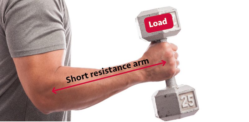 Short resistance arm holding a dumbbell load