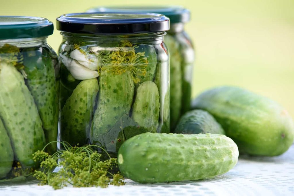 Do Pickles Break A Fast? This Is Why I'm Fit