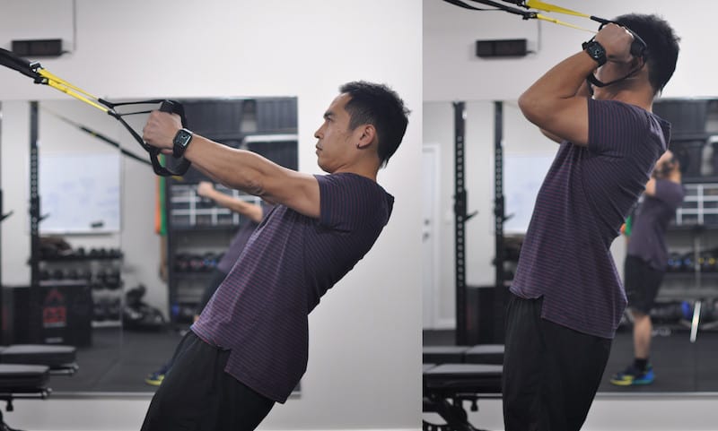 TRX hammer curls start to end