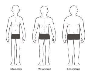The Ultimate Mesomorph Workout Plan with PDF - This Is Why I'm Fit