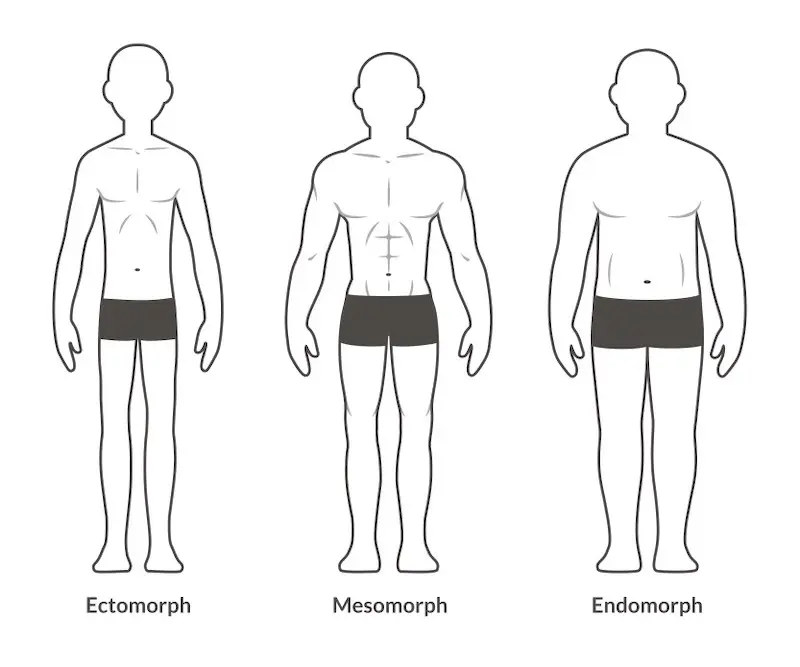 3 Different body types