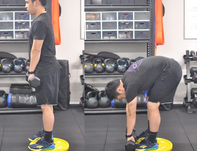 10 Best Lower Back Exercises with Dumbbells This Is Why I'm Fit