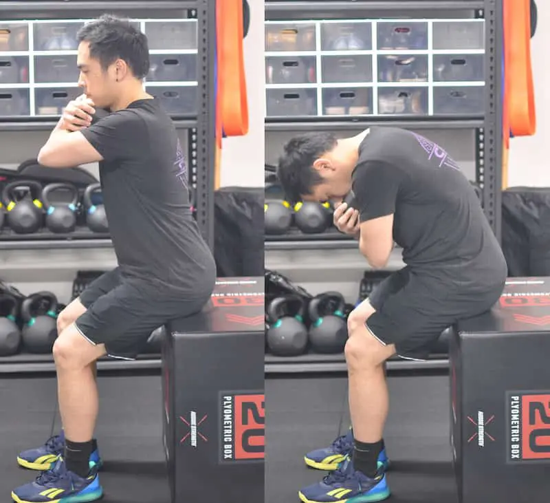 Seated back curls with dumbbells are a great lower back exercise 