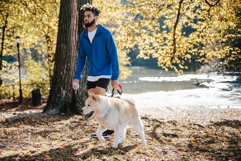 Man walking his dog