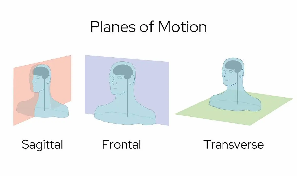 Planes of motion - sagittal, frontal, and transverse