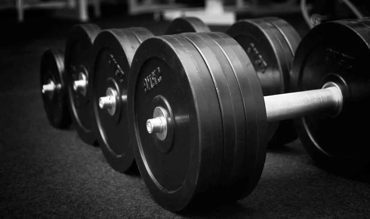 Round disc dumbbells