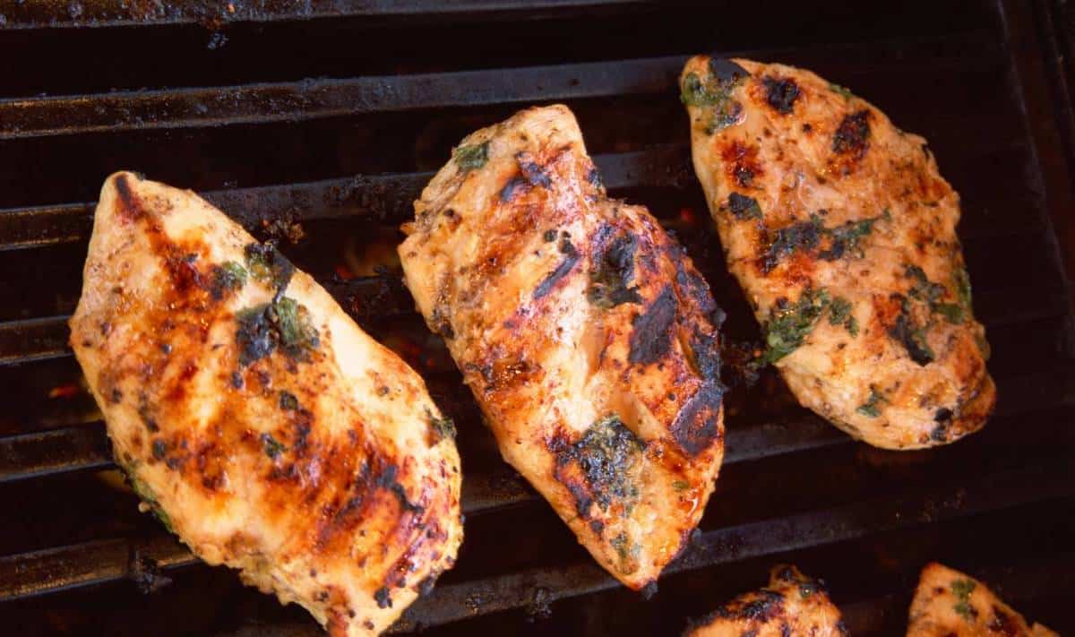 Grilled breast chicken