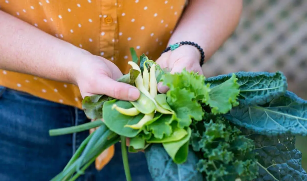 Woman holding leafy greens