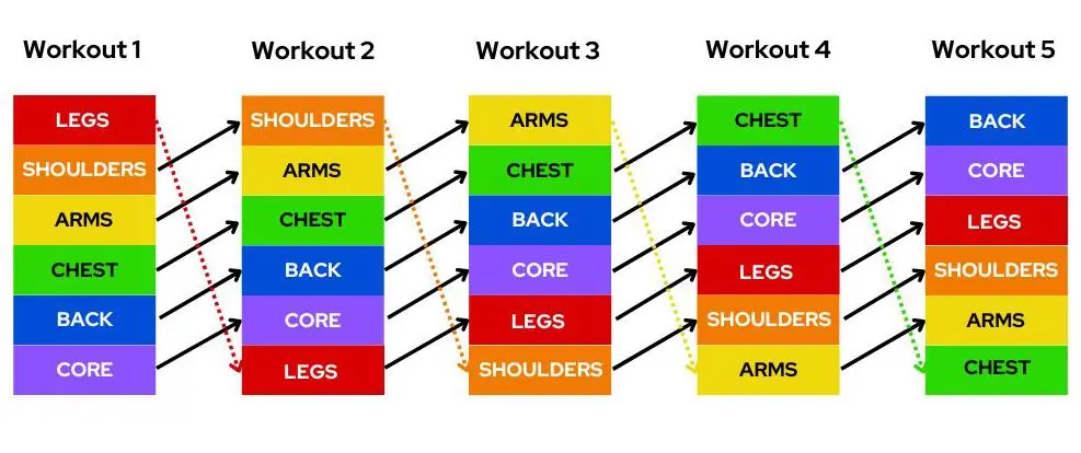 Full body workout plan pdf structure