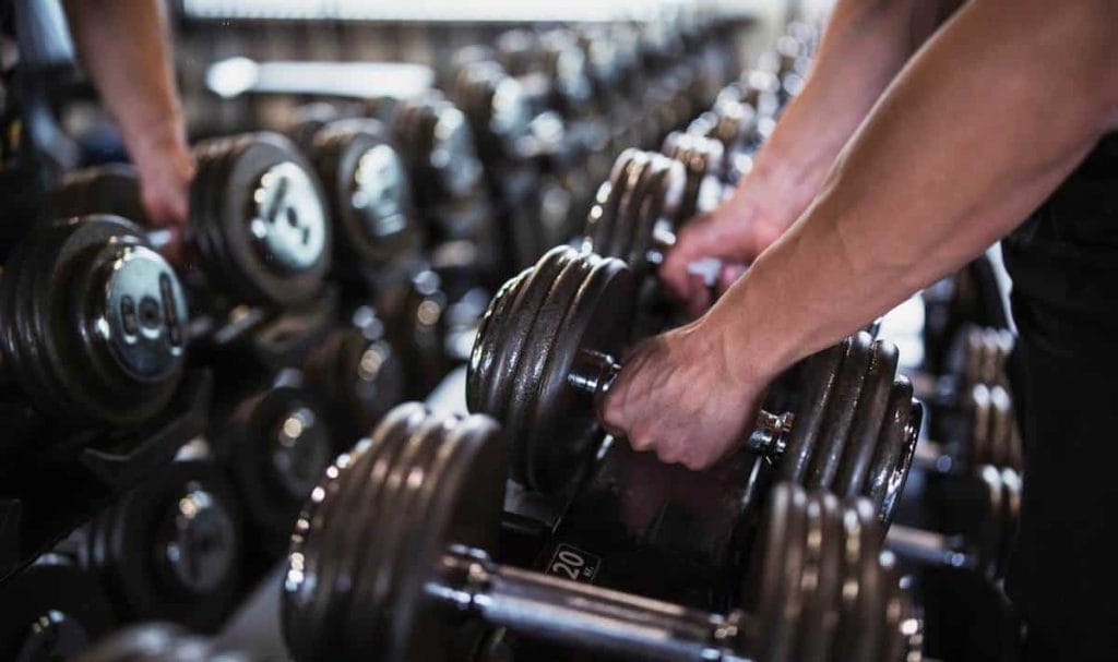 3 Day Push Pull Legs Workout Routine Pdf