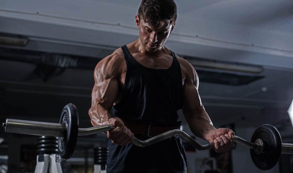 the-ultimate-12-week-shredded-workout-plan-with-pdf-this-is-why-i-m-fit