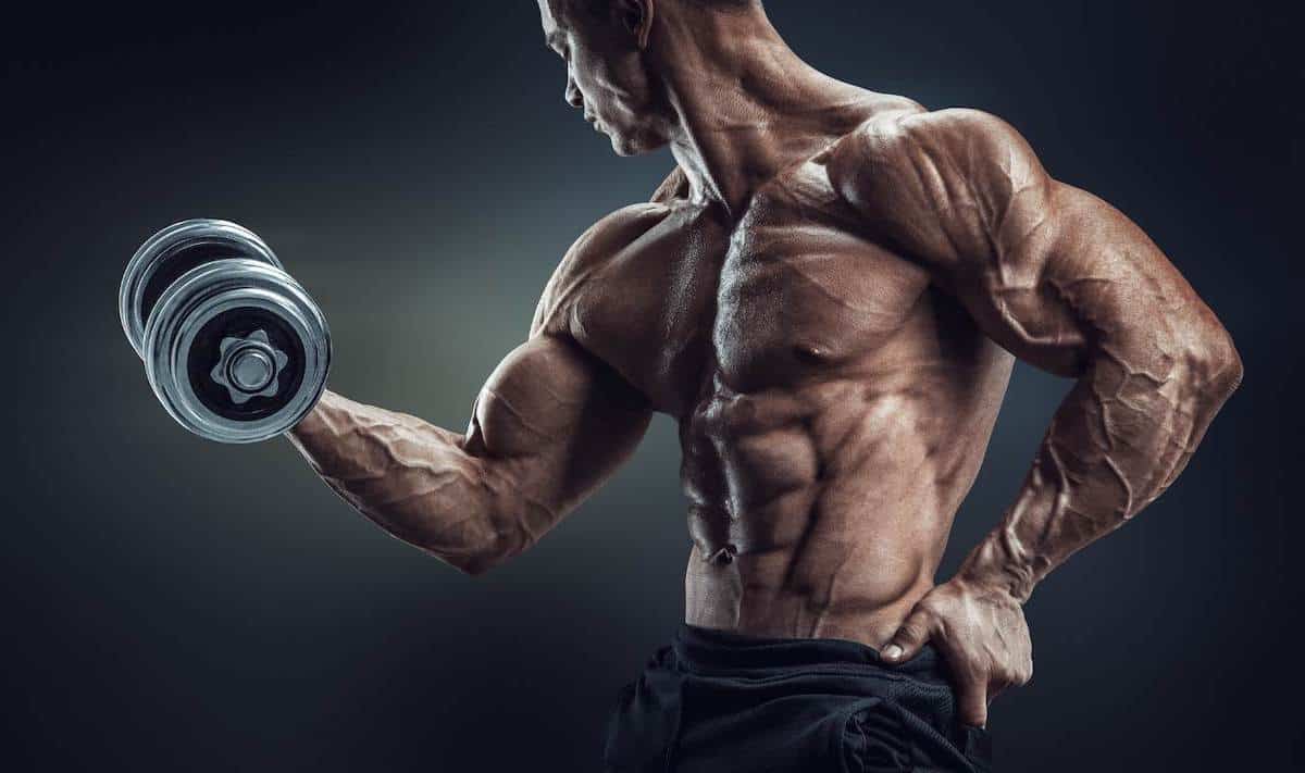 Shredded man doing bicep curls