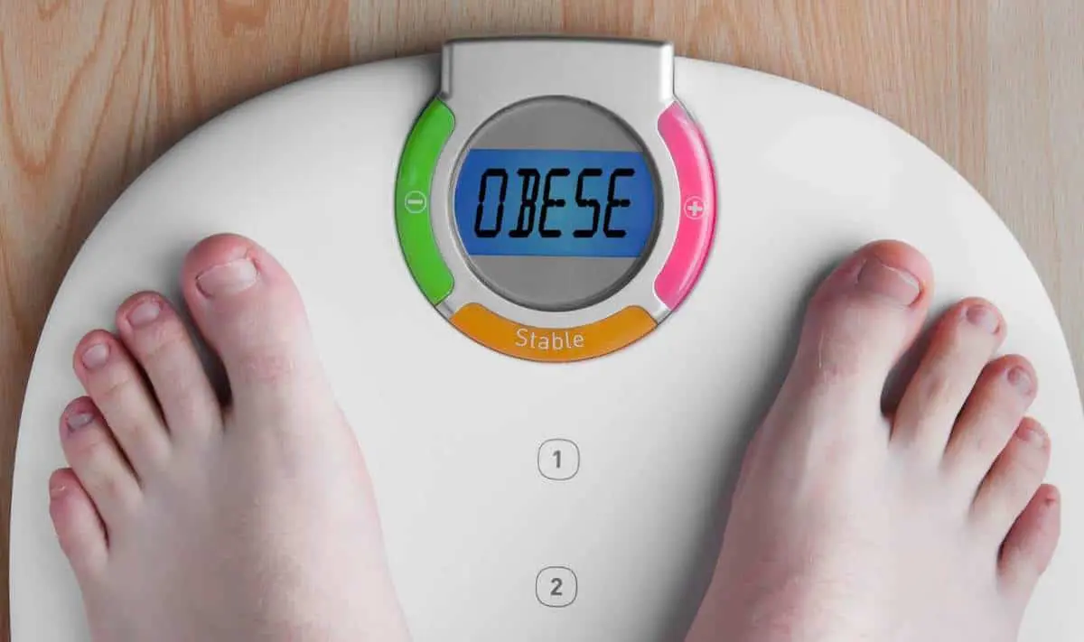 Obese feet on scales