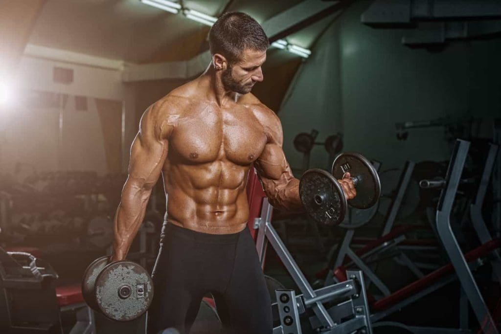 Basic Bodybuilder The Ultimate 12 Week Dumbbell Workout Plan (Free PDF) - This Is Why I'm Fit